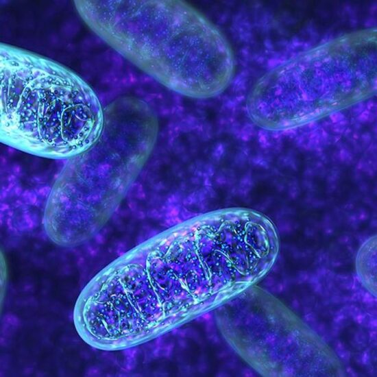 Hypermetabolism linked to early-life adversity can be harmful in long term: Study