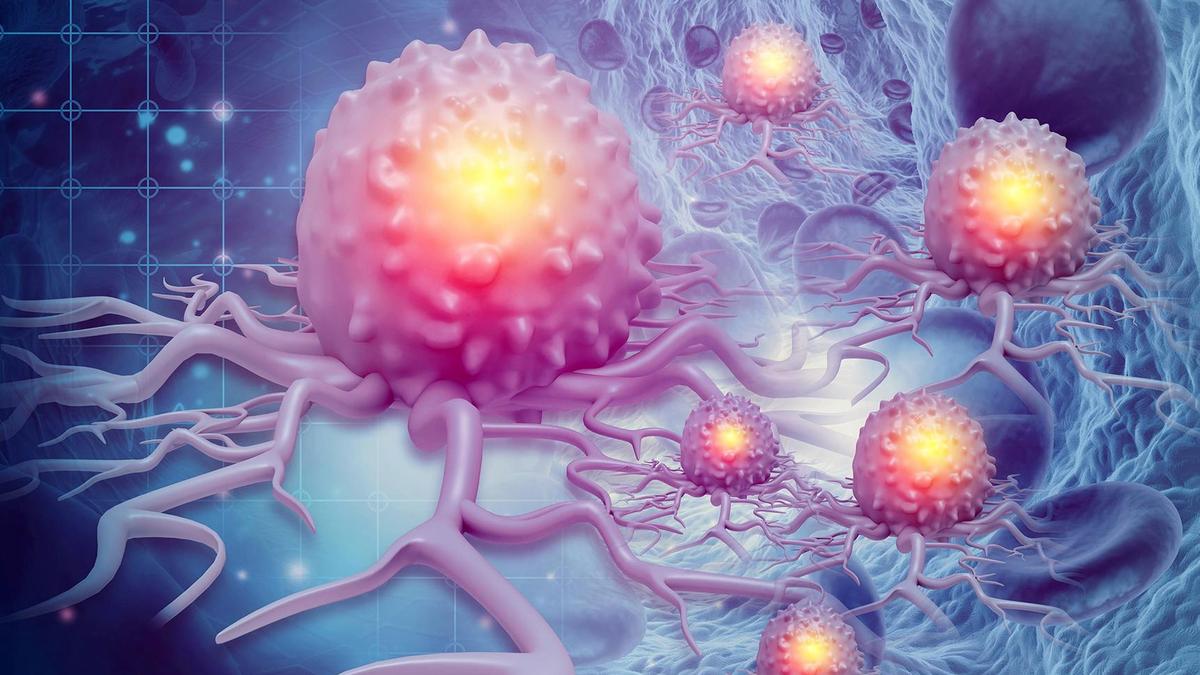 World Blood Cancer Day: Experts highlight India’s donor gap, call for strengthening stem cell donor registry