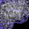  Seizures could be early indicator of brain tumour, caution doctors