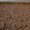 El Nino is here and scientists fear it’ll be big, bad and costly with heat, floods, droughts, fires