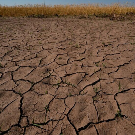 El Nino is here and scientists fear it’ll be big, bad and costly with heat, floods, droughts, fires