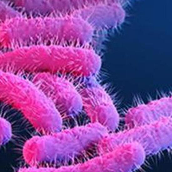 Shigellosis cases rise to 16 in Kerala’s Wayanad; Health department steps up surveillance