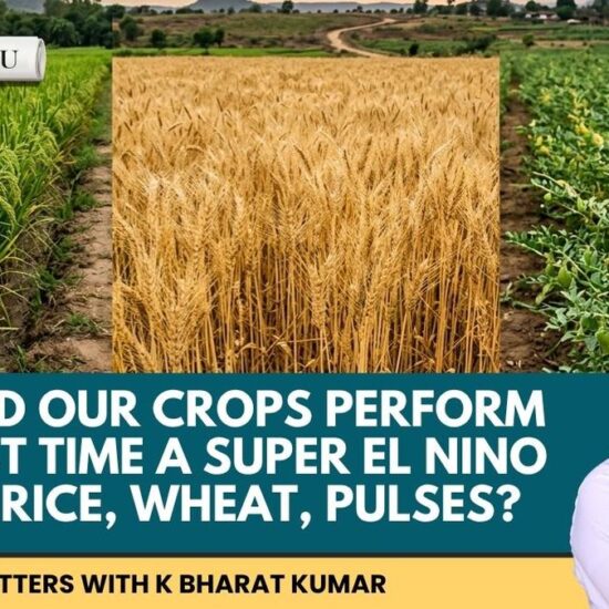 Watch: 2026 to be driest in 11 years. How badly can a deficient monsoon hit crop output?