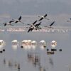 Science Snapshots: June 7, 2026