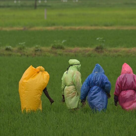 What a ‘super’ El Niño would mean for India’s monsoon