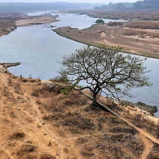 India’s economic growth depends on protecting its fragile environment
