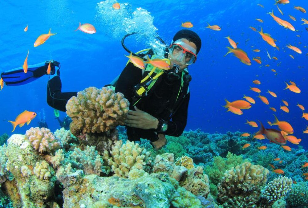 World Oceans Day 2026: How diving is changing lives in Andaman’s Karen and Ranchi communities