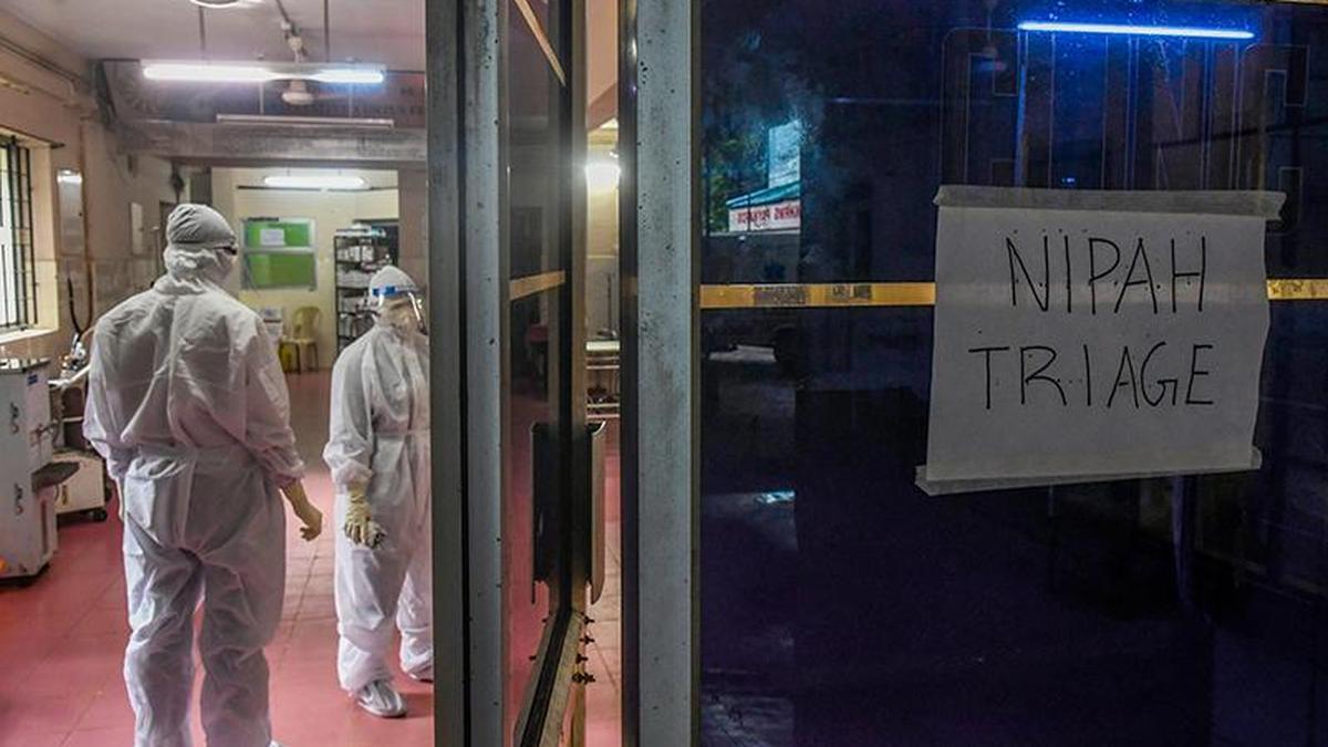 Kerala on Nipah alert after Kozhikode man’s preliminary test turns positive